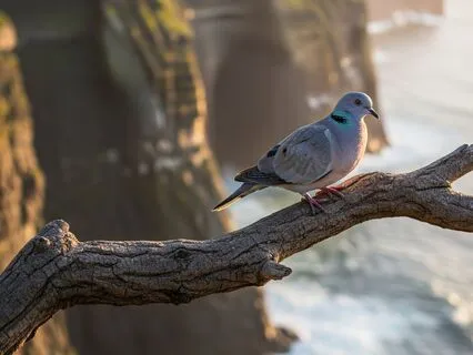 Leap Of Faith Meditation