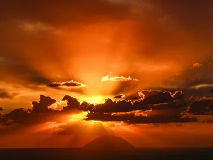 Learn About Homing Pigeons