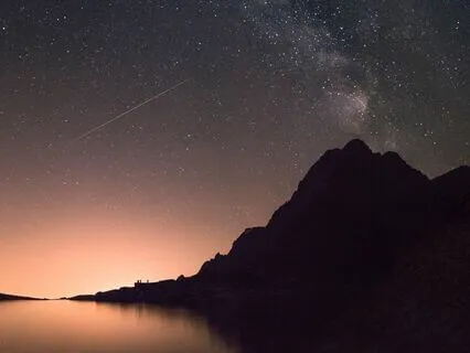 Learn About Rainforests