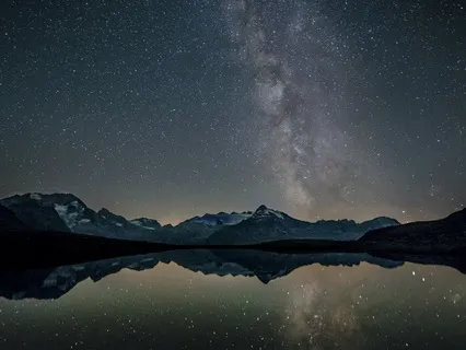 Learn About Seahorses