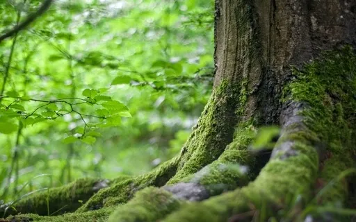 Learn & Practice The Voo Breath To Release Stress