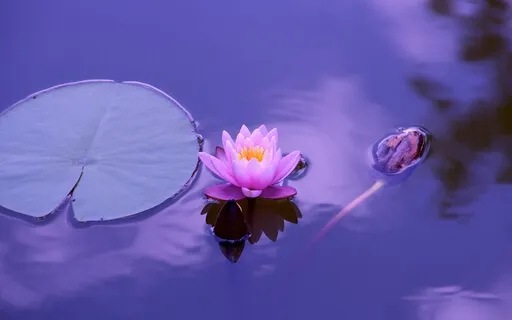 Learn Buddhism:  A Buddhist Easter