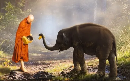 Learn Buddhism: A Buddhist Thanksgiving & Gratitude