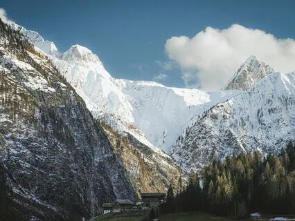 Learn Ontological Coaching For Overcoming Fear