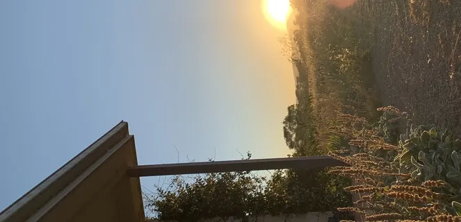 Learn The Art Of Effortless Presence