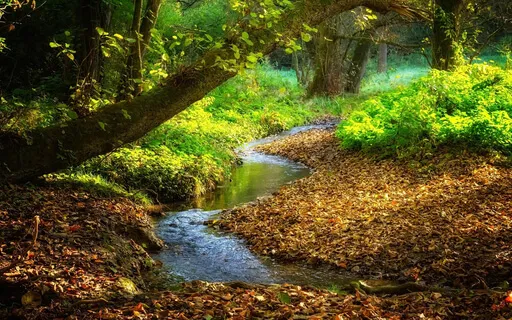 Learn More About The Shamanic Lower World