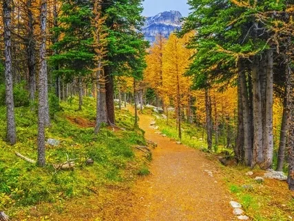 Learn About The Shamanic Middle World.