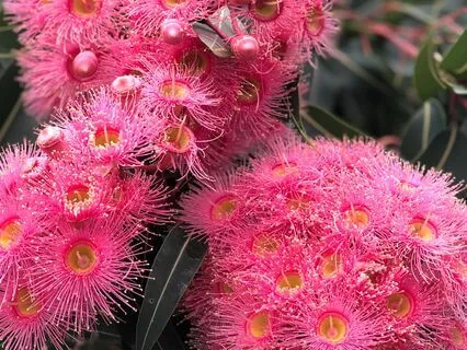 Learn To Find Peace In Timing