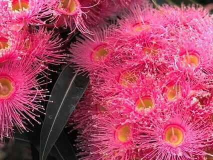 Learn To Focus In 5 Minutes