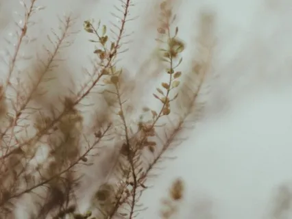 Learn To Let Go - Guided Meditation