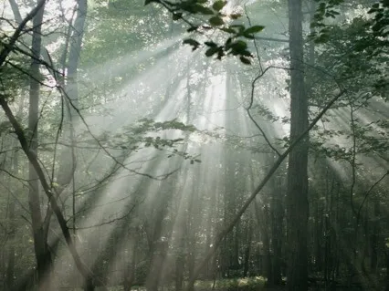 Learn To Practice Stopping