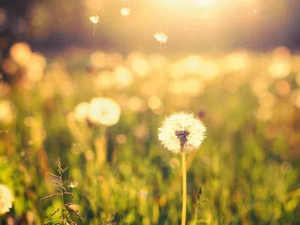 Learn to Relax & Sleep