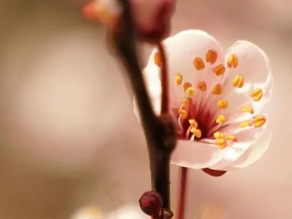 Learn To Respond Rather Than React