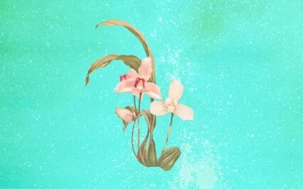 Learn To Speak With Your Spirit Guides