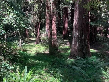 Learn To Trust Your Body To Tell You What's A Yes Or No