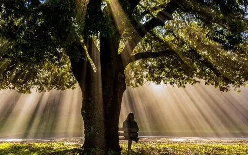 Learn To Visualise - Innery - Ch 4 - The Lady Of The Oak