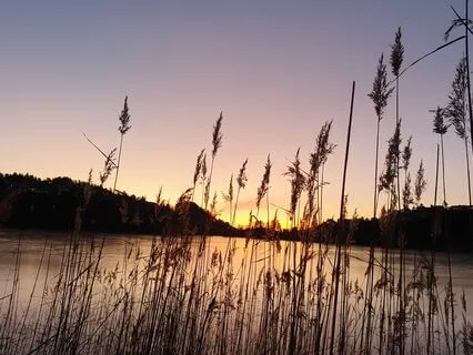 Learn Vagus Breathing To Relax Your Nervous System