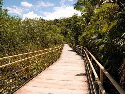 Learning Acceptance Meditation