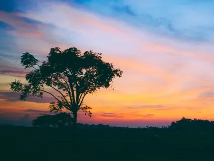 Learning How To Ground Yourself