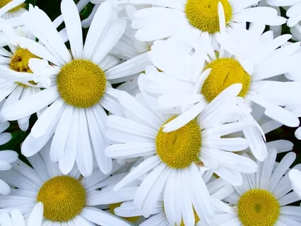 Learning How To Shift Your Thoughts