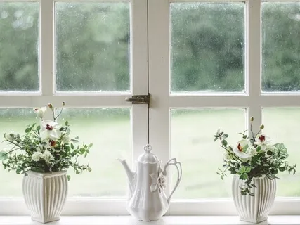 Learning Series: The Window Of Tolerance