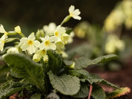 Learning The Language Of Nature - February 20