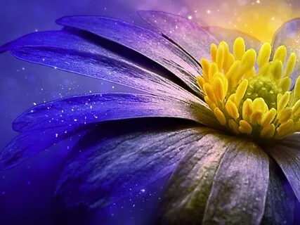 Learning To Accept And Be Grateful For Your Body