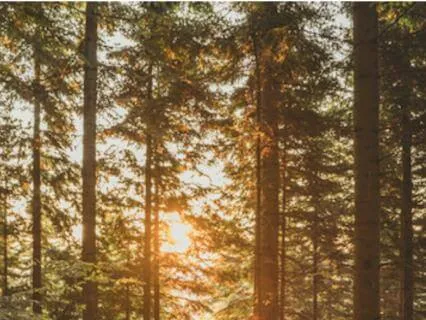 Learning To Be Heard - Social Anxiety Relief