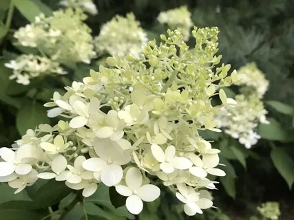 Learning To Begin Again