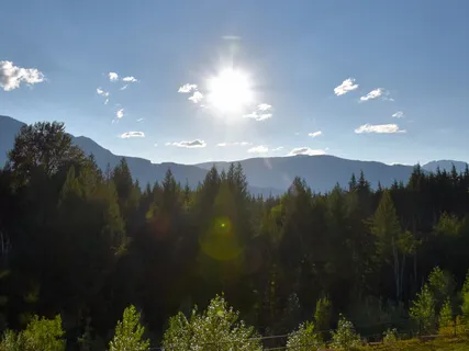 Learning To Cope With The Searching And Seeking