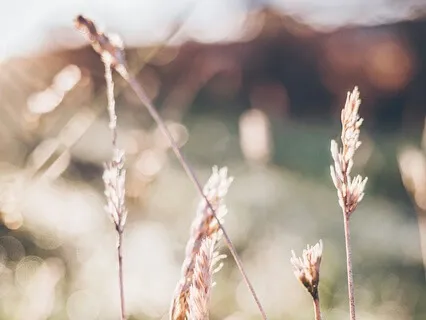 Learning To Feel Safe In Your Body