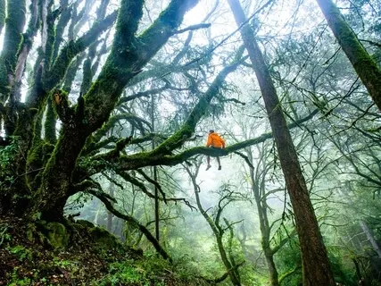 Learning To Go Within