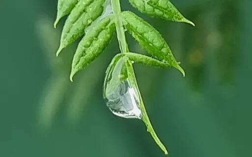 Learning To Lay Our Burdens Down In A Safe Way 