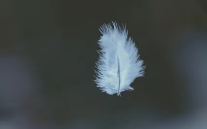 Learning To Let Go -Surrendering What We Cannot Control