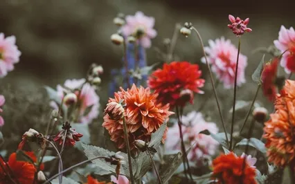 Learning To Like Yourself 