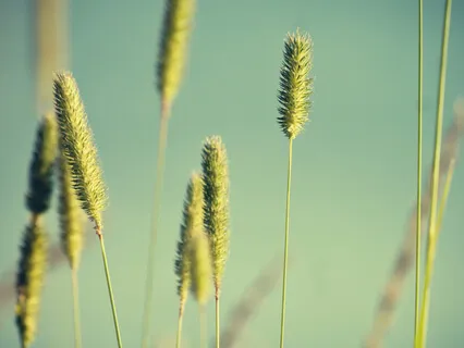 Learning To Live Mindfully (Part 1)