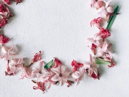 Learning To Love Our Bodies