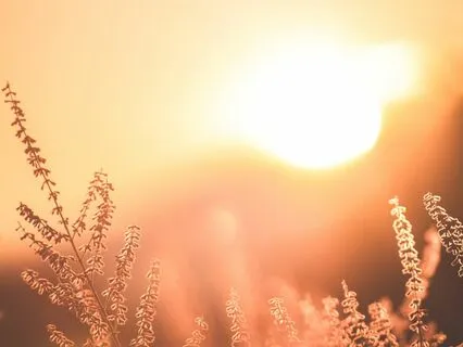 Learning To Love Yourself Again