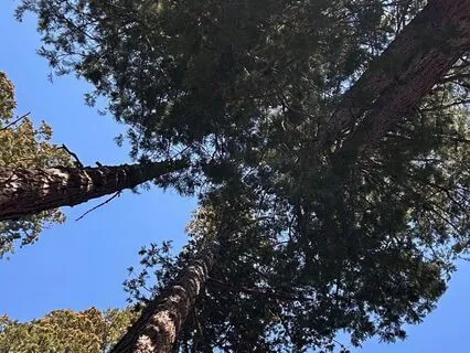 Learning To Meditate With Breath