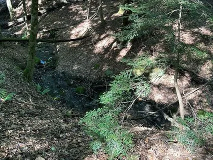 Learning To Observe Thoughts Through Visualization