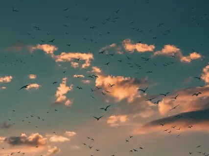 Learning To Observe Your Thoughts