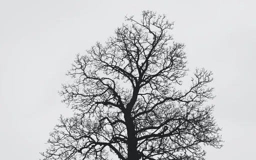 Learning To Play With The Breath