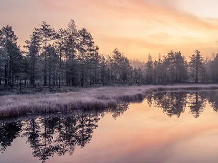Learning To Say Good Bye To Dear Ones