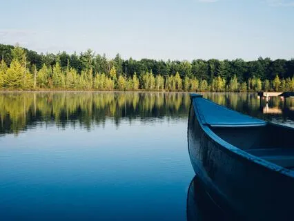 Learning To Say No More