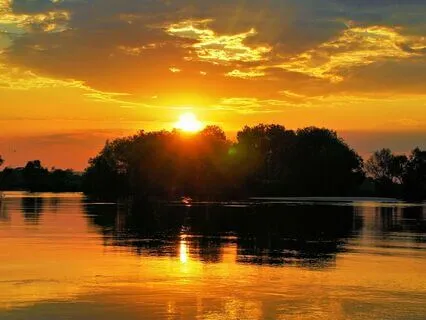 Learning To See Beyond Yourself