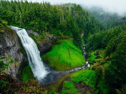 Learning To Self Muscle Test