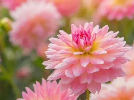 Learning To Self-soothe