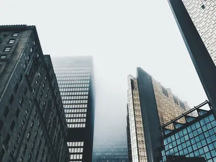  Dancing On The Cingulate: Focus