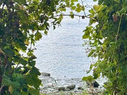 Learning To Soften: A Meditation For The Overwhelmed Mother