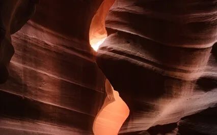 Learning To Trust And Surrender